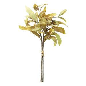 ASCA アスカ リーフバンチ(1束3本) (A-44029053)