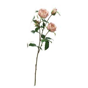 アスカ(Asca) ローズX2 つぼみX1 (A-34460055C)