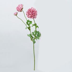 ASCA アスカ ラナンキュラス×2 つぼみ×1 (A-34469055)