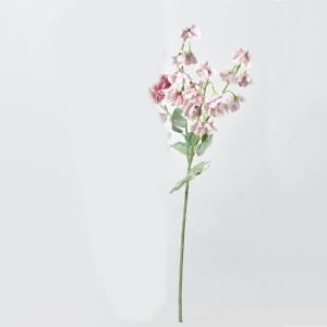 ASCA アスカ スイトピー×16 (A-34470055B)