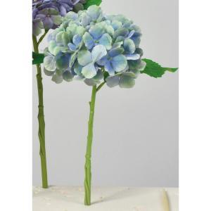 アスカ(Asca) ハイドランジア (A-34546019G)