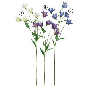 ASCA アスカ キキョウX6 (A-34559007)