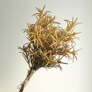 アスカ(Asca) ローズマリーバンチ(1束3本) (A-44271010M)