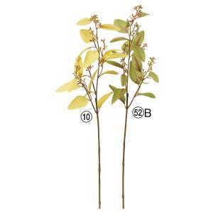 アスカ(Asca) ユーカリシードスプレー (A-44290052B)