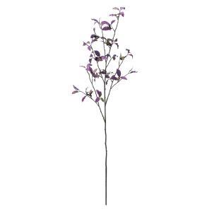 アスカ(Asca) ピットスポラムベリースプレー (A-47996007G)