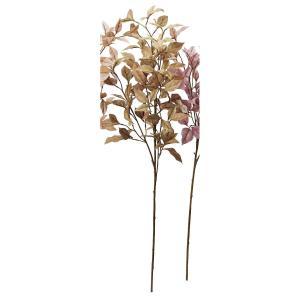 アスカ(Asca) リーフスプレー (A-44298053S)