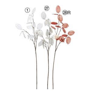 ASCA アスカ ルーセントマネープラント (A-44320028R)