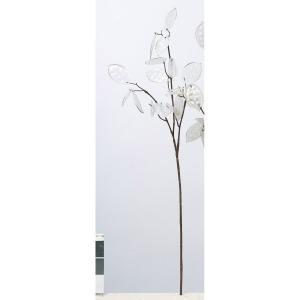 アスカ(Asca) ルーセントマネープラント (A-44320001)