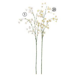 ASCA アスカ カンパニュラX43 つぼみX5 (A-34757020)