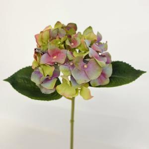 アスカ(Asca) ハイドランジア (AP03010 051P)