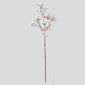 ASCA アスカ ベリースプレー (A-47969 001)