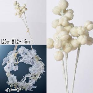 アスカ(Asca) ナンキンハゼ(1束3本) (AX60169)