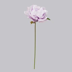 ASCA アスカ ピオニーピック (A-73397 017P)