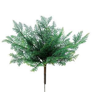 アスカ(Asca) シーダーブッシュ (A-42667-051A)