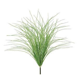 ASCA アスカ グラスブッシュ (A-42970-051A)