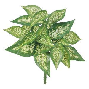 ASCA アスカ ディフェンバキアブッシュ (A-43167-051V)