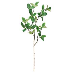 其它 - ASCA アスカ ピットスポラム (A-42646-051A)