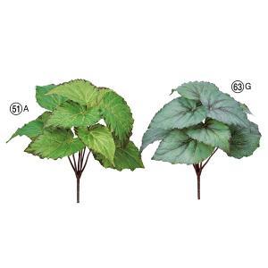 ASCA アスカ ベゴニアブッシュ (A-43351-051A)