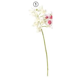 ASCA アスカ ミニオーキッドX11 つぼみX2 (A-34848-001)