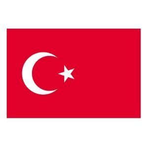 のぼり屋(Noboriya) ☆N_ビッグフラッグ大 54478 国旗 トルコ(販促用) (54478)