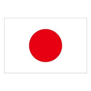 のぼり屋(Noboriya) ☆N_ビッグフラッグ大 54480 国旗 日本(販促用) (54480)