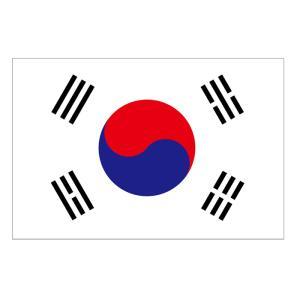 のぼり屋(Noboriya) ☆N_ビッグフラッグ大 54481 国旗 韓国(販促用) (54481)