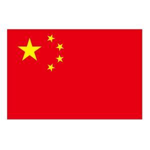 のぼり屋(Noboriya) ☆N_ビッグフラッグ大 54482 国旗 中国(販促用) (54482)