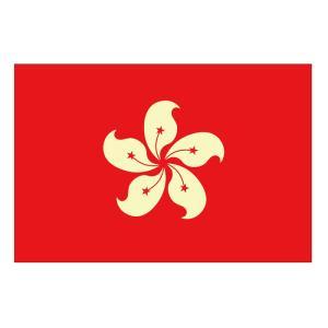 のぼり屋(Noboriya) ☆N_ビッグフラッグ大 54483 国旗 香港(販促用) (54483)
