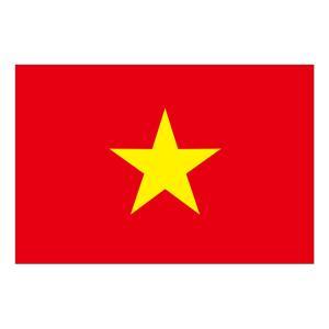 のぼり屋(Noboriya) ☆N_ビッグフラッグ大 54486 国旗 ベトナム(販促用 (54486)