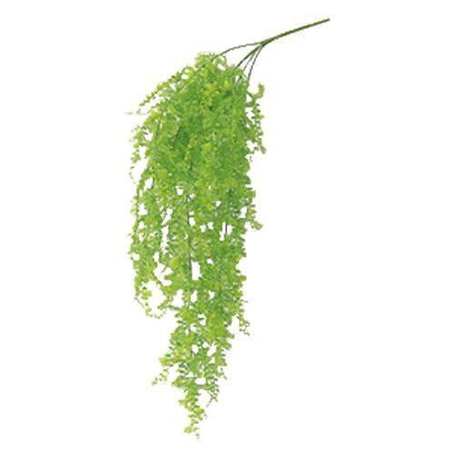 アスカ(Asca) ファーンハンギングブッシュ (A-40662-052B)【入数:24】