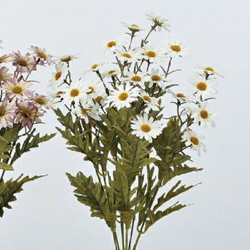 ASCA アスカ マーガレットブッシュX27 (A-33165-011)【入数:12】