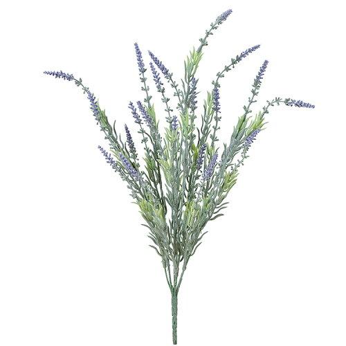 ASCA ������ ��٥�����֥å��� (A-34300-006)������:12��