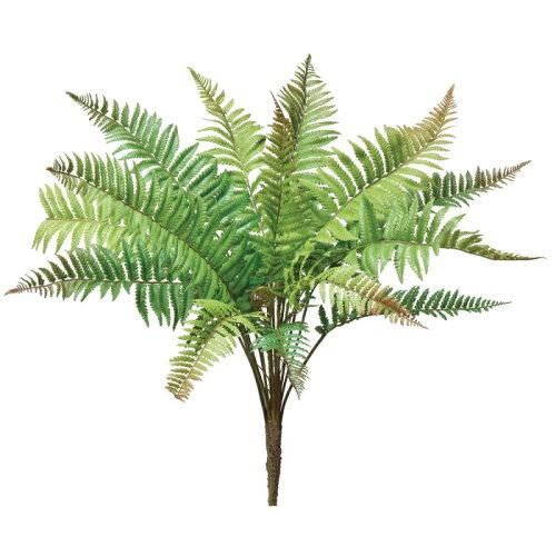 &nbsp;メーカー&nbsp;ASCA アスカ&nbsp;商品カテゴリ&nbsp;フラワー・観葉植物＞造花&nbsp;発送目安&nbsp;2日〜3日以内に発送予定（土日祝除）&nbsp;お支払方法&nbsp;銀行振込・クレジットカード&nbsp;送料&nbsp;送料無料&nbsp;特記事項&nbsp;&nbsp;その他&nbsp;