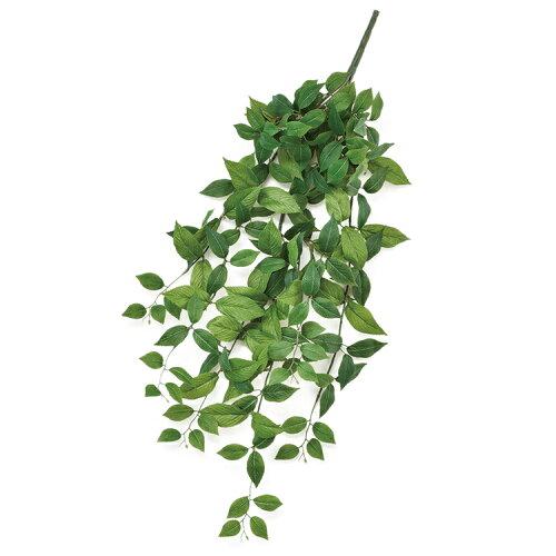 アスカ(Asca) リーフハンギングブッシュ (A-43913-051A)【入数:6】