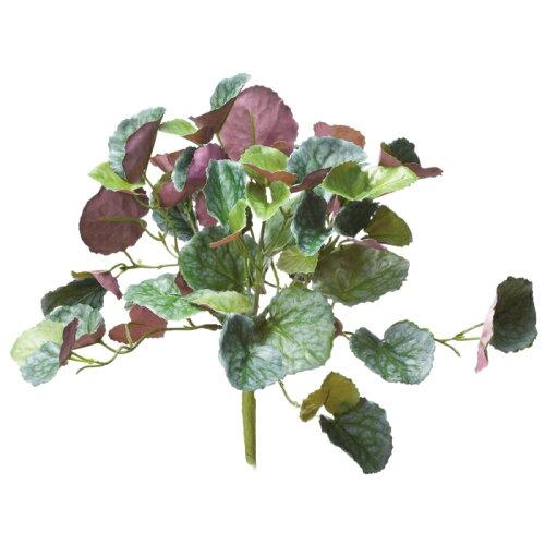 ASCA アスカ リーフブッシュ (A-43961-053P)【入数:12】