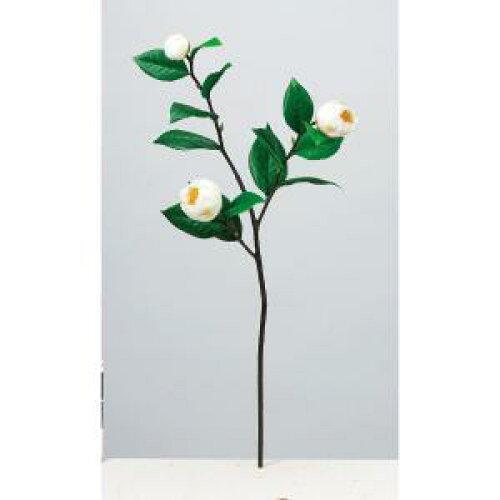 ASCA アスカ 玉椿×2 つぼみ×1 (A-73412-001)【入数:12】