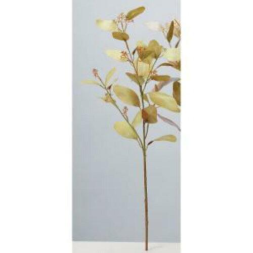 ASCA アスカ ユーカリスプレー (A-44304-010B)【入数:24】