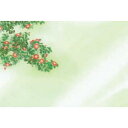ヤマコー 66458 尺3花雅(はなみやび)懐石まっと 椿 100枚 16-274-09