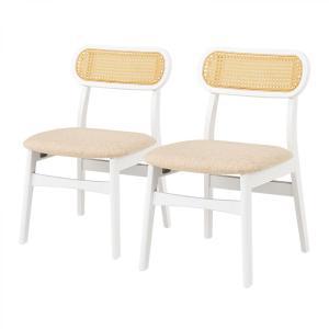 HAGIHARA �븶 ������2�����å� FL-8654WH-2S ���̳�ƻ�����졢Υ�������Բ�