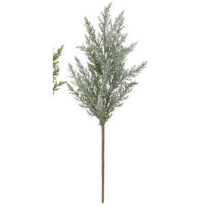 ASCA アスカ サイプレススプレー (AX60568-051F)