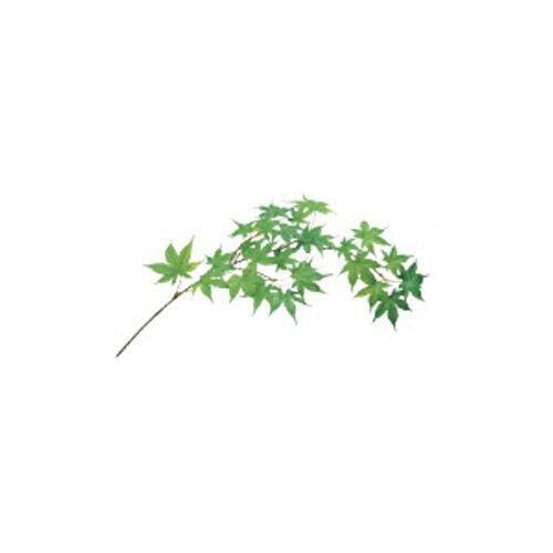 &nbsp;メーカー&nbsp;ASCA アスカ&nbsp;商品カテゴリ&nbsp;フラワー・観葉植物＞造花&nbsp;発送目安&nbsp;2日〜3日以内に発送予定（土日祝除）&nbsp;お支払方法&nbsp;銀行振込・クレジットカード&n...
