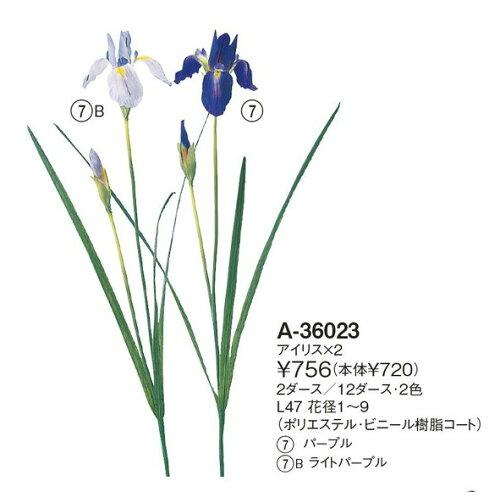 アスカ(Asca) アイリスX2 (A-36023-007)【入数:24】