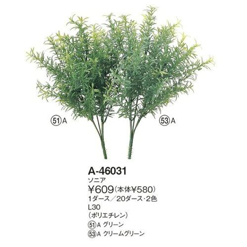 ASCA アスカ ソニア (A-46031-051A)【入数:12】