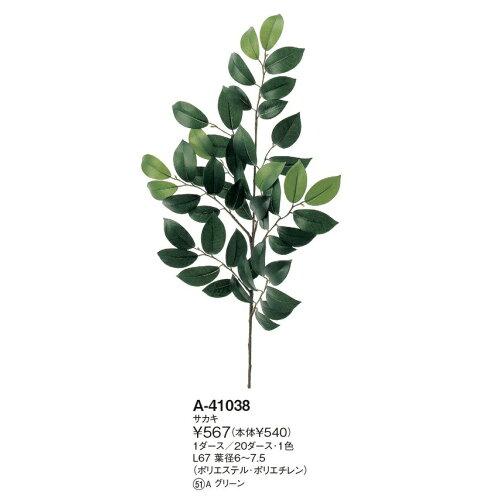 ASCA アスカ サカキ (A-41038-051A)【入数:12】