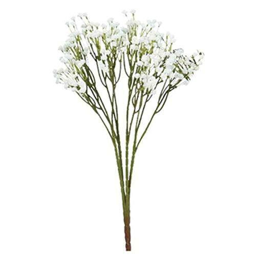 アスカ(Asca) ジプソフィラX84 (A-33314-001)【入数:12】