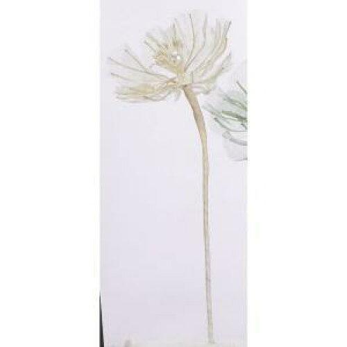 アスカ(Asca) シフォンポピー (A-34594-008)【入数:24】