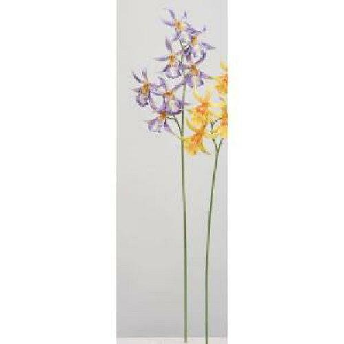 &nbsp;メーカー&nbsp;ASCA アスカ&nbsp;商品カテゴリ&nbsp;フラワー・観葉植物＞造花&nbsp;発送目安&nbsp;2日〜3日以内に発送予定（土日祝除）&nbsp;お支払方法&nbsp;銀行振込・クレジットカード&nbsp;送料&nbsp;送料無料&nbsp;特記事項&nbsp;&nbsp;その他&nbsp;