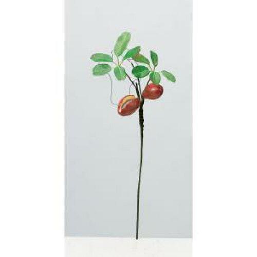 ASCA アスカ アケビピック (A-47989-044)【入数:12】