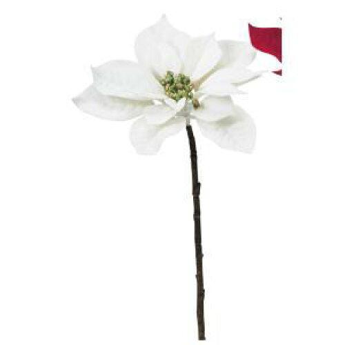 アスカ(Asca) ベルベットポインセチア (AX60385-001)【入数:24】