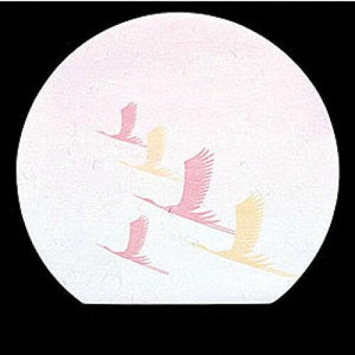 ��ޥ��� 65186 ��3��Ⱦ����Фޤä� ���� 100�� 16-257-06